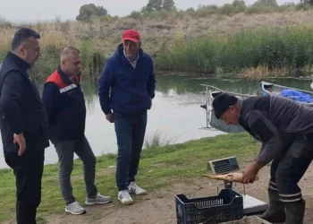 Beyşehir Gölü’nde yasa dışı avcılığa karşı sıkı denetim