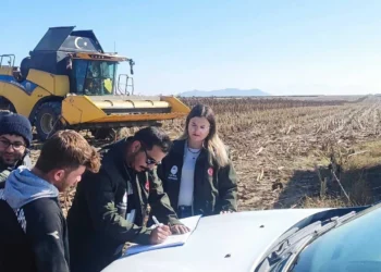 Karapınar’da ayçiçeği hasadı yapan biçerdöverlere denetim