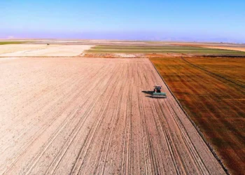 Konya Ovası’nda ekim zamanı: Çiftçilere tohum ve gübre uyarısı