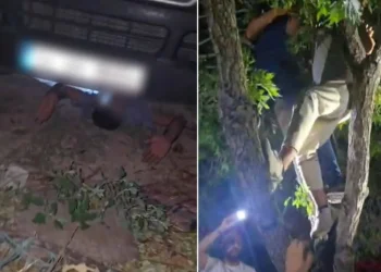 Konya’da aranan 141 kişi yakalandı: Biri aracın altında, diğeri ağacın üzerinde