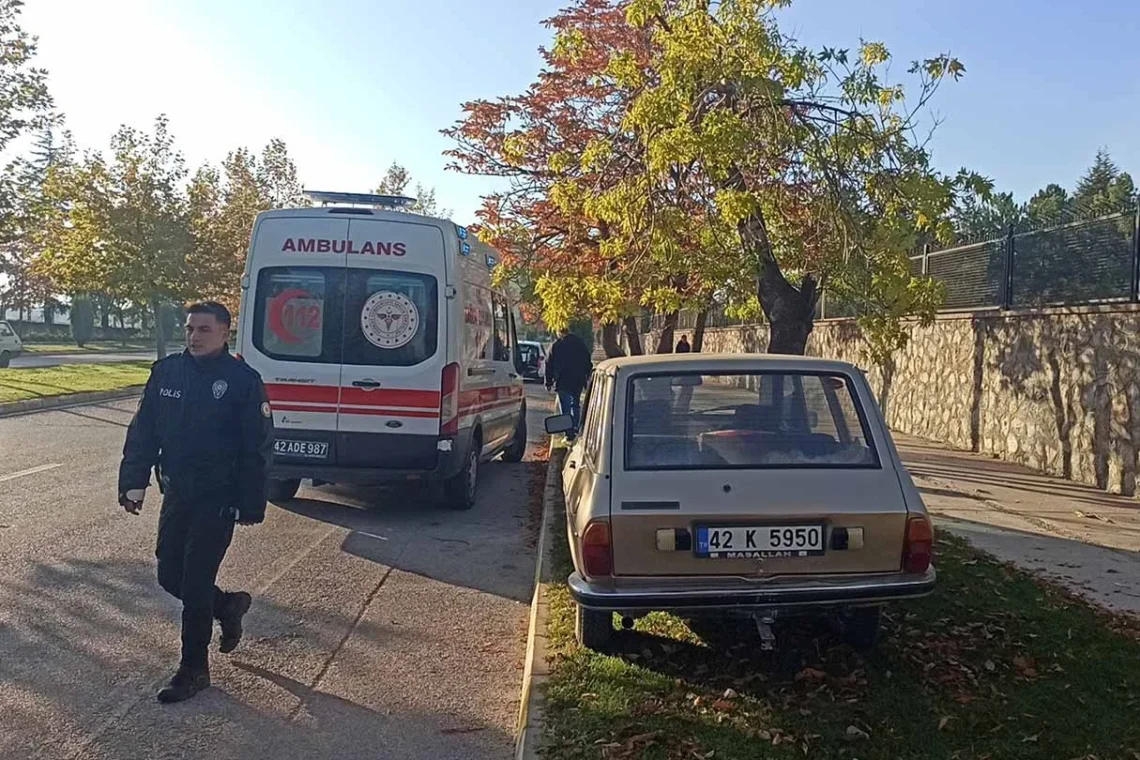 (Fotoğrafçı: İsmail Sünbül / İhlas Haber Ajansı / İHA)